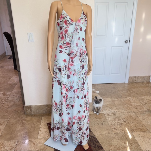 Cynthia Steffe maxi dress - Picture 6 of 10
